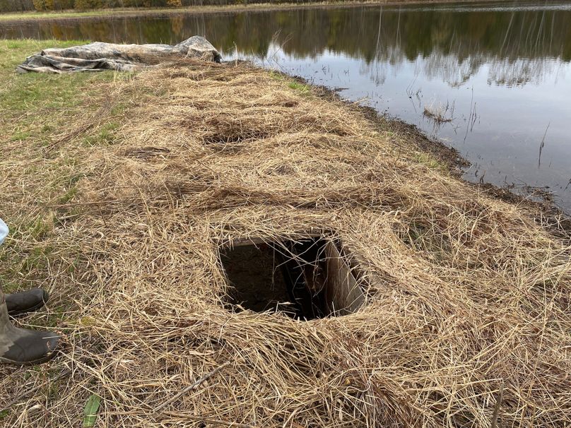 pics from late 2021 and early 2022. New plots being planted in Aug 2023 for new pics (31)