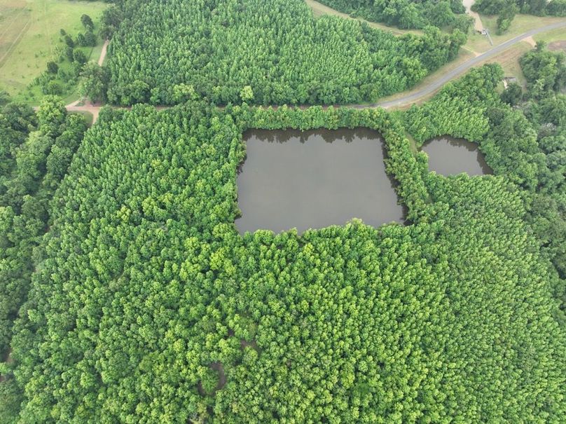 dji_fly_20260523_120152_481_1779631862124_photo