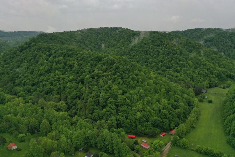 013 aerial drone shot of the east portion of the property and the National Forest in the background
