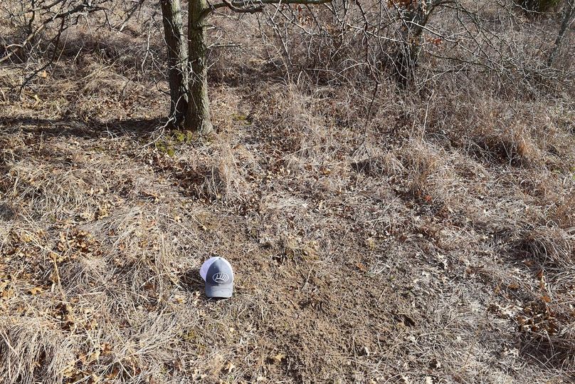 DSC_0320_inPixio (2)