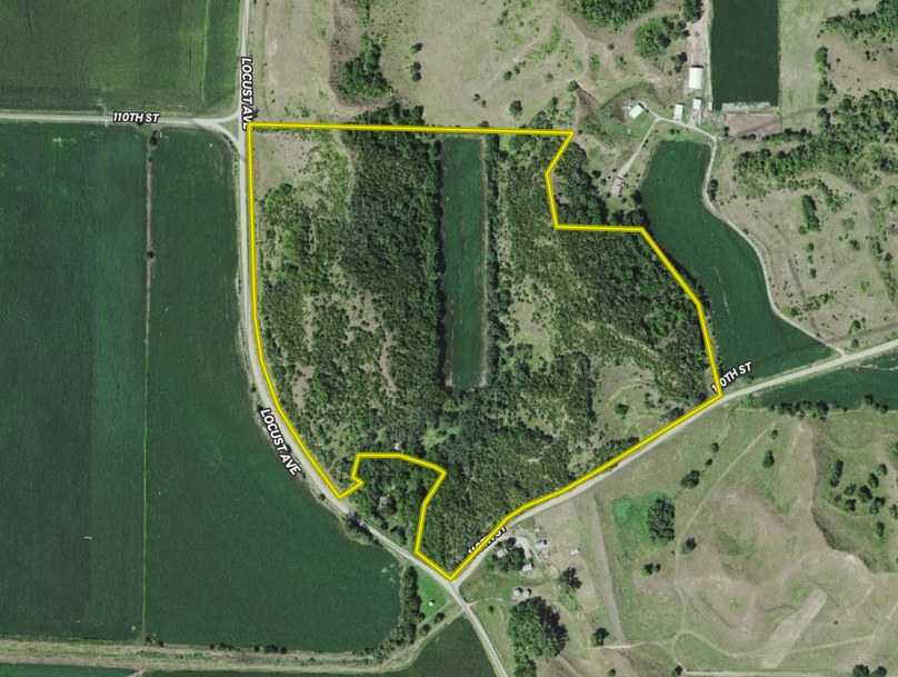 Screen Shot 2024-01-15 at 4.52.34 PM