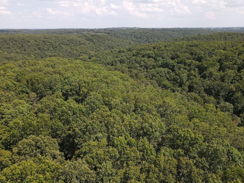 dji_fly_20250818_150444_651_1755547497380_photo