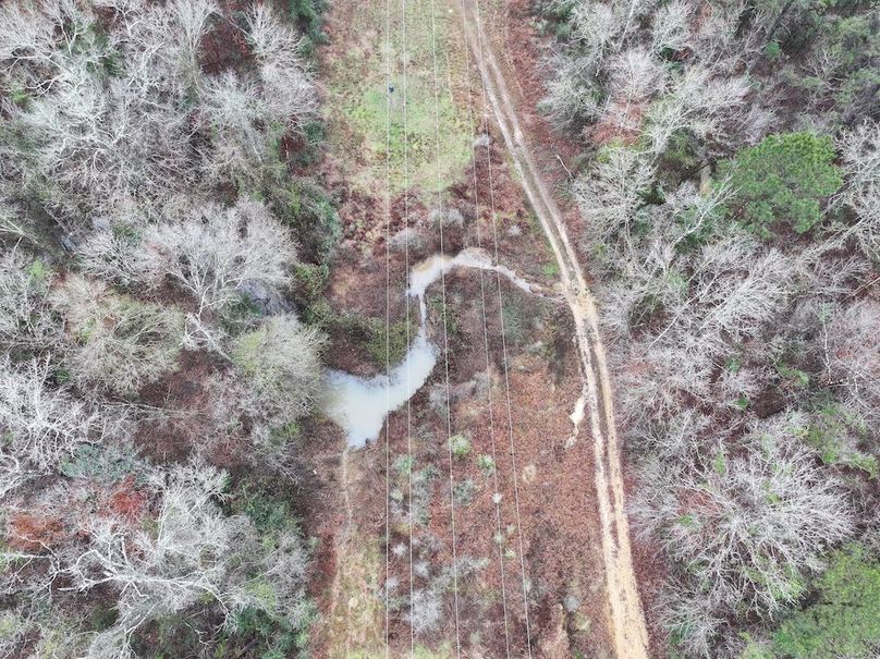 dji_fly_20260122_090908_0836_1769444821147_photo