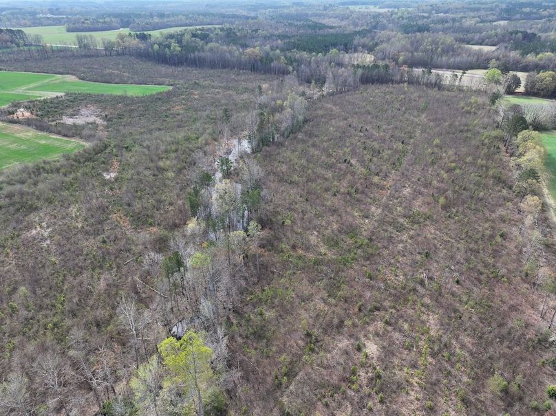 Copy of DJI_20260303062556_0510_D