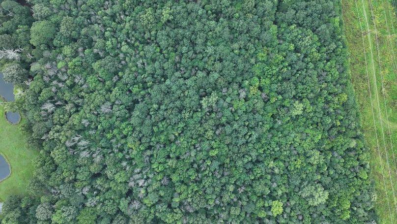 DJI_20250715002829_0163_D