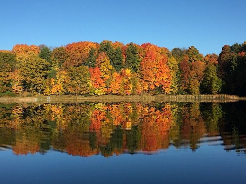 Fall color