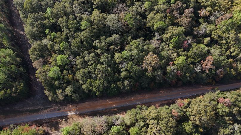 DJI_20231117141333_0033_D