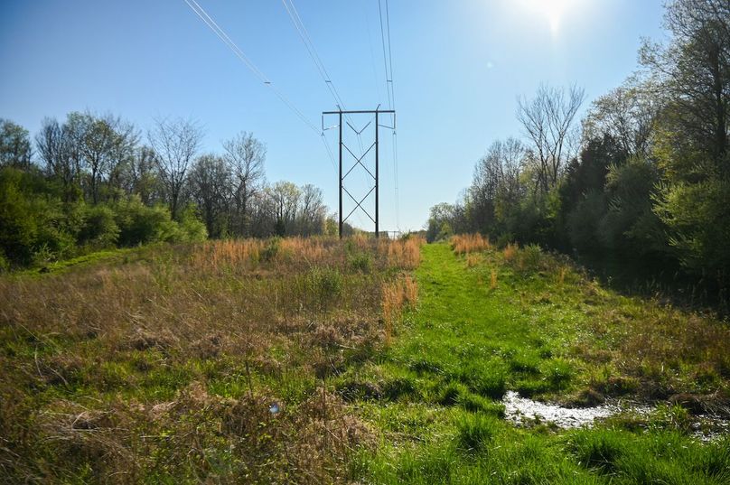 vandalia 450 (2)-2454