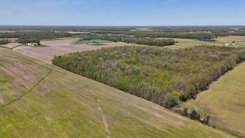 DJI_20250423125557_0400_D