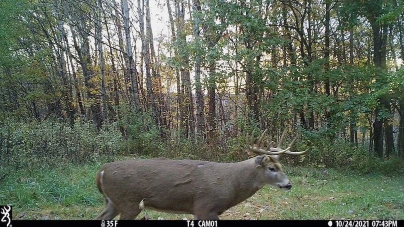 Trailcam - 7