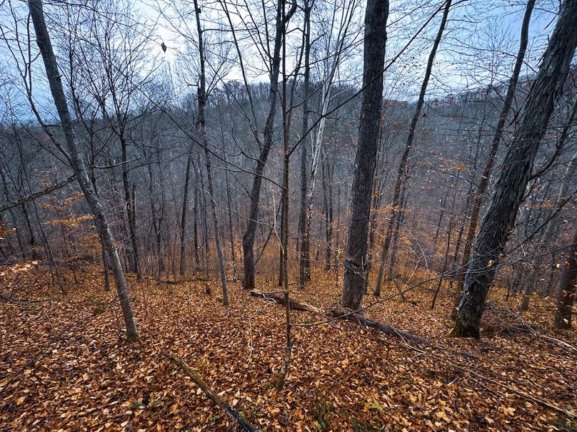 Ritchie, WV 100 AC Harper-22