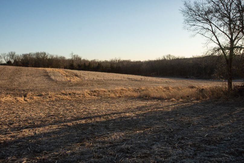 WORTH CO MO 537.44_43