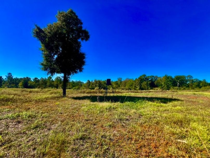 592E7B78-66D8-4C05-B0FE-5958A6C775B7_1_105_c