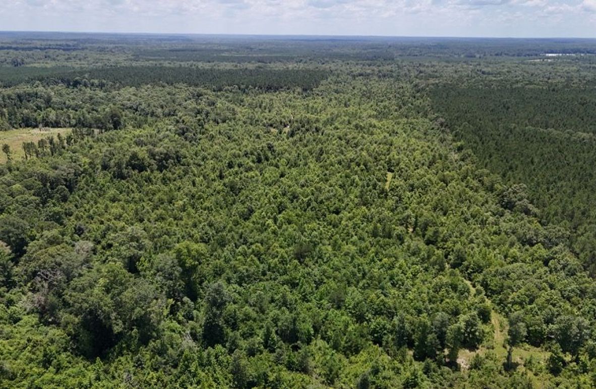 Copy of DJI_20250624022630_0629_D