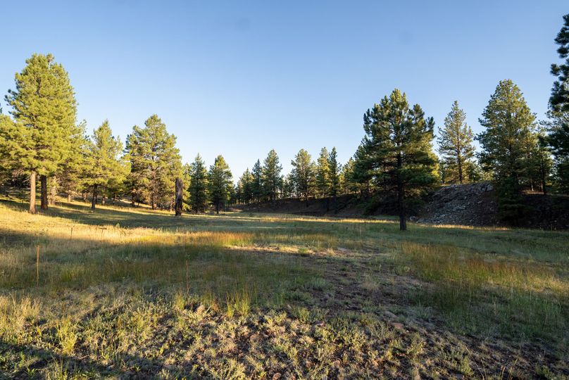 Cibola NM 13,053-05948