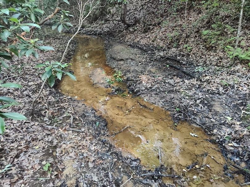 IMG_20250518_184400485