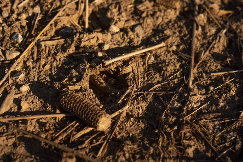 FREMONT CO. IA 31.48 +_-_11