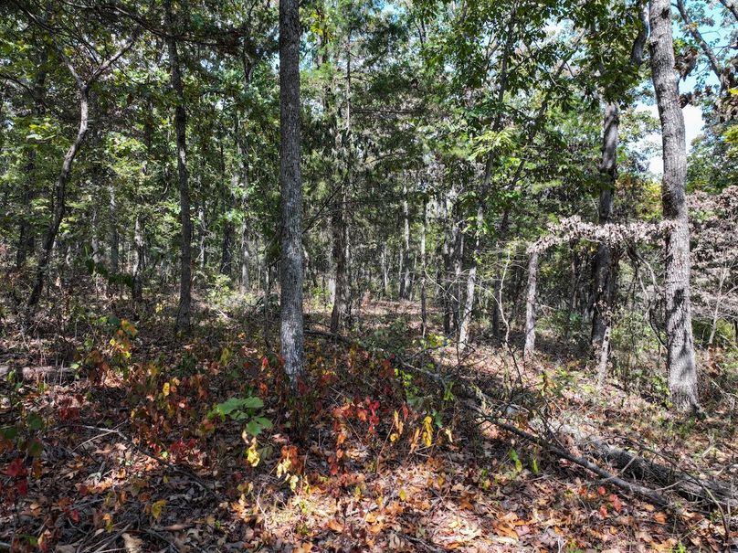 DJI_20250904124510_0582_D