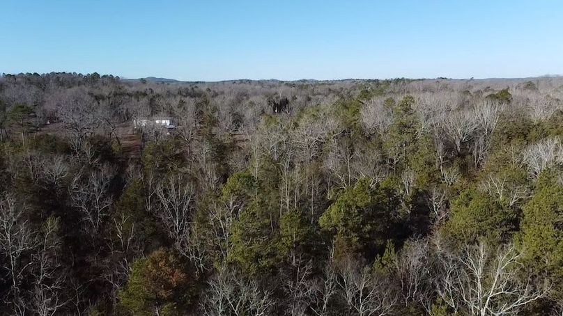 2024-02-06-09-11-31-415