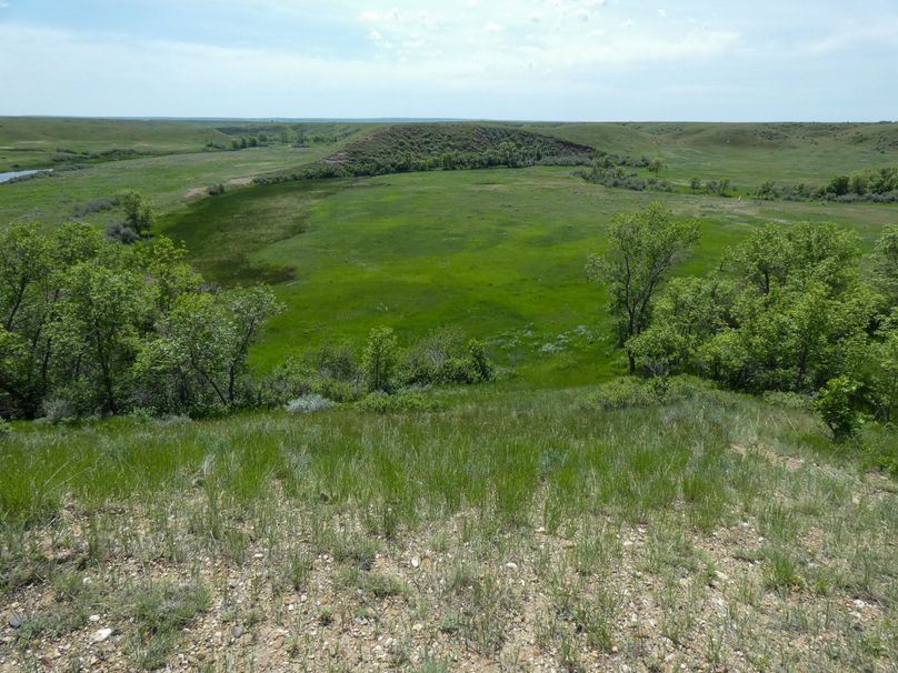 P1030569
