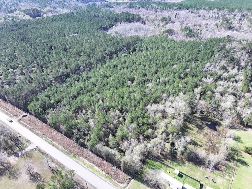 dji_fly_20260112_110408_0815_1768323790613_photo