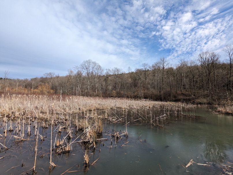 PXL_20230213_155456587