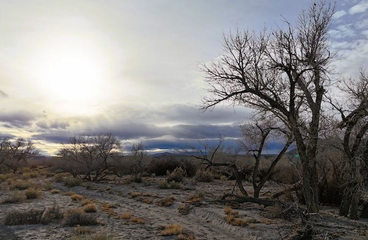 DJI_20250321181901_0058_D