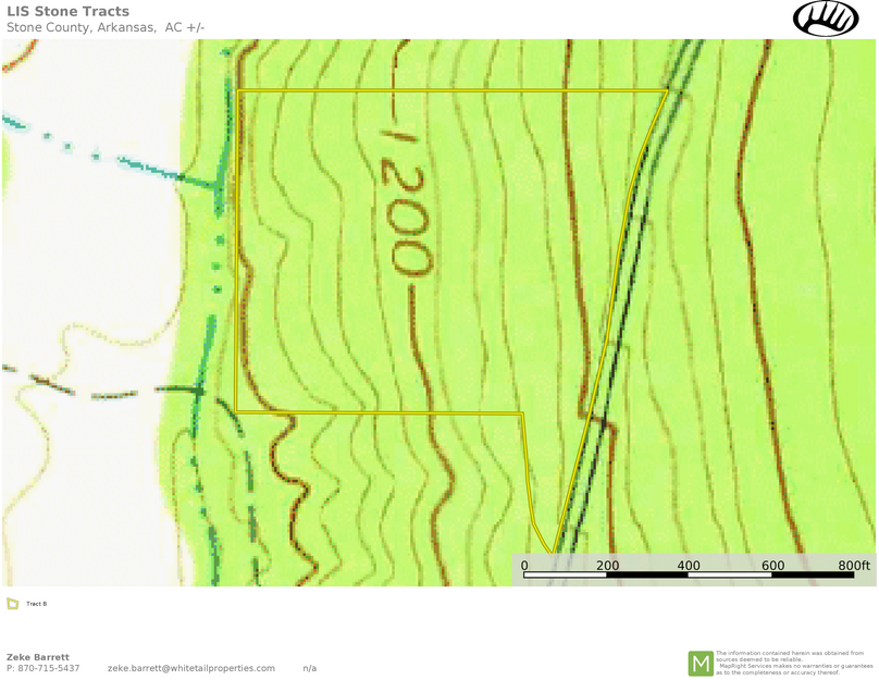 LIS Stone Tract B Topo
