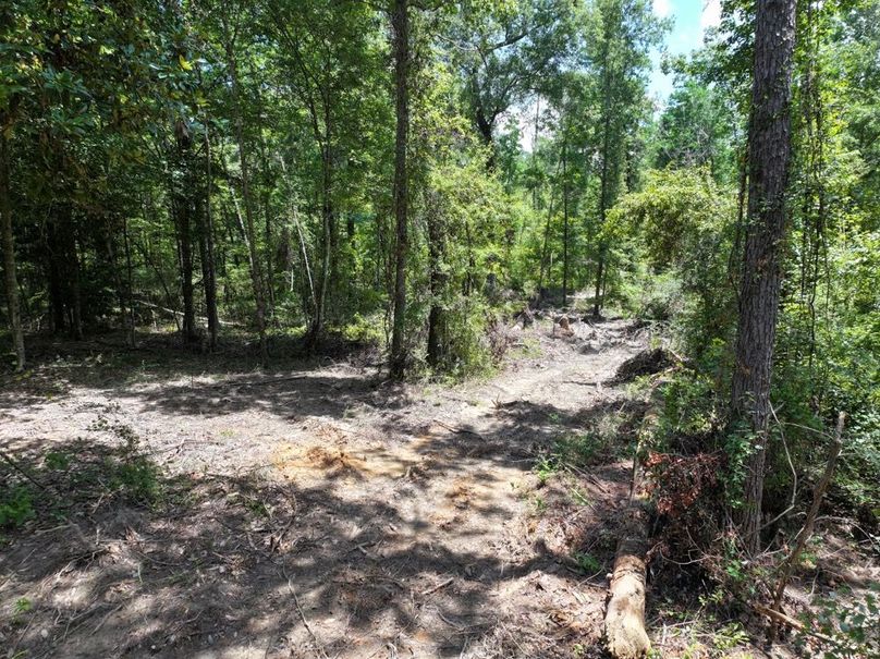 dji_fly_20250708_123846_0213_1752089881893_photo