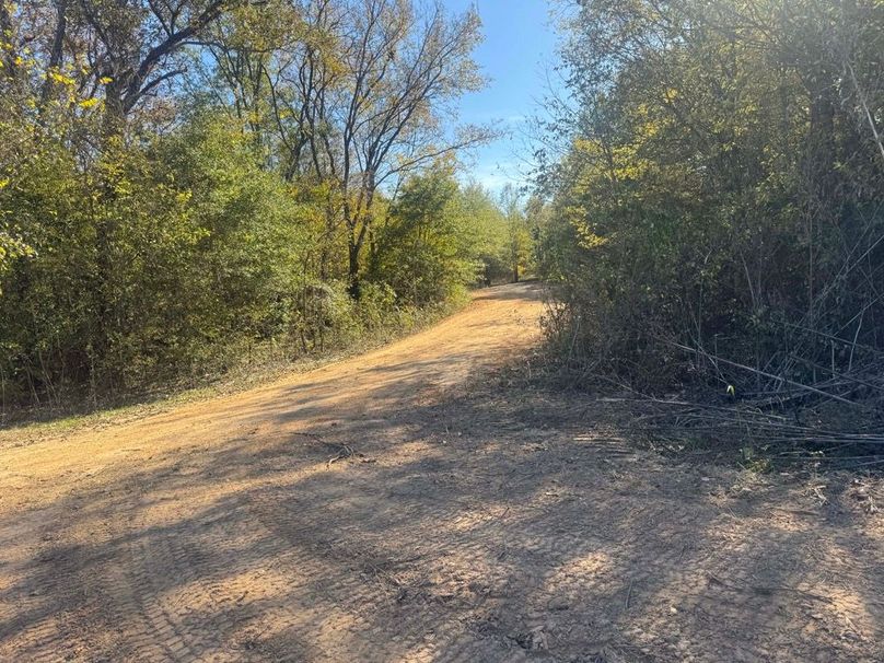 1a1 jeff 8320251111_0256