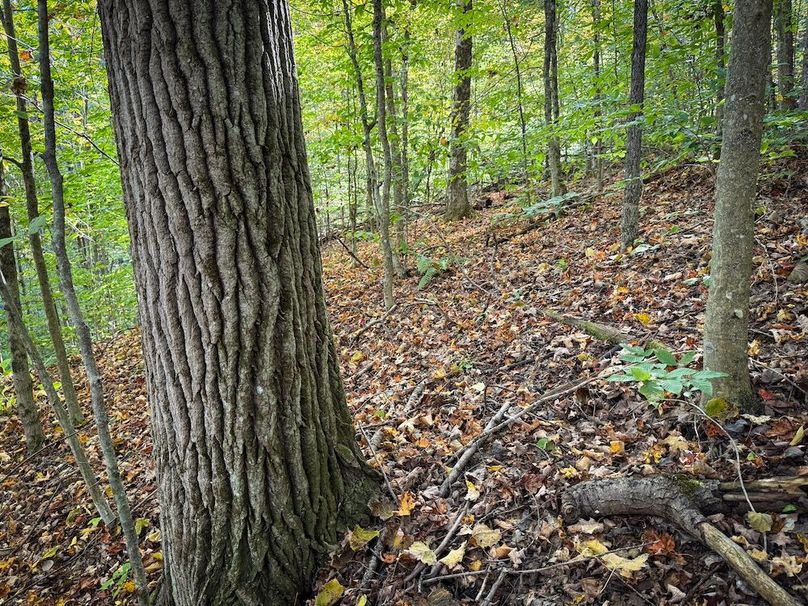 Tompkins NY 87 Allen Photos 30