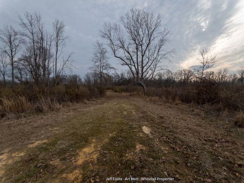 Holmes County - 108 - Rodriguez-27