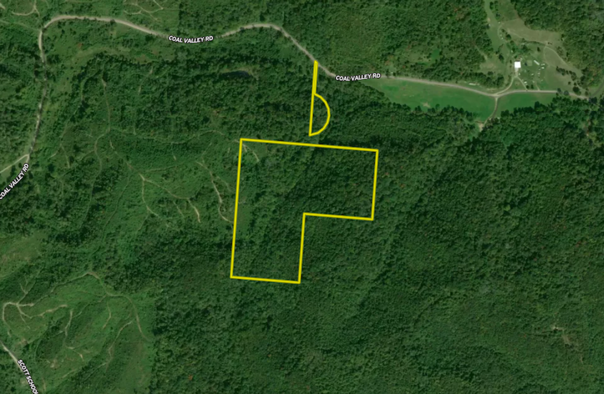 Print Discover the Untouched Beauty with This Vacant Land Whitetail