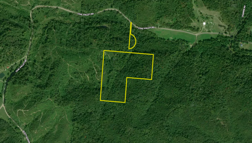 Screenshot 2024-08-13 at 9.58.29 AM