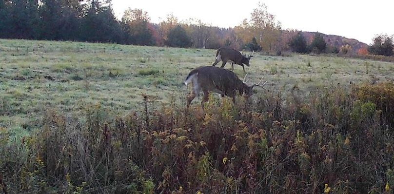 Screen Shot 2025-10-07 at 11.40.18 AM