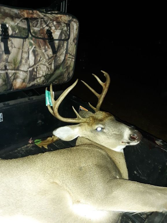 Resized_20211106_201307