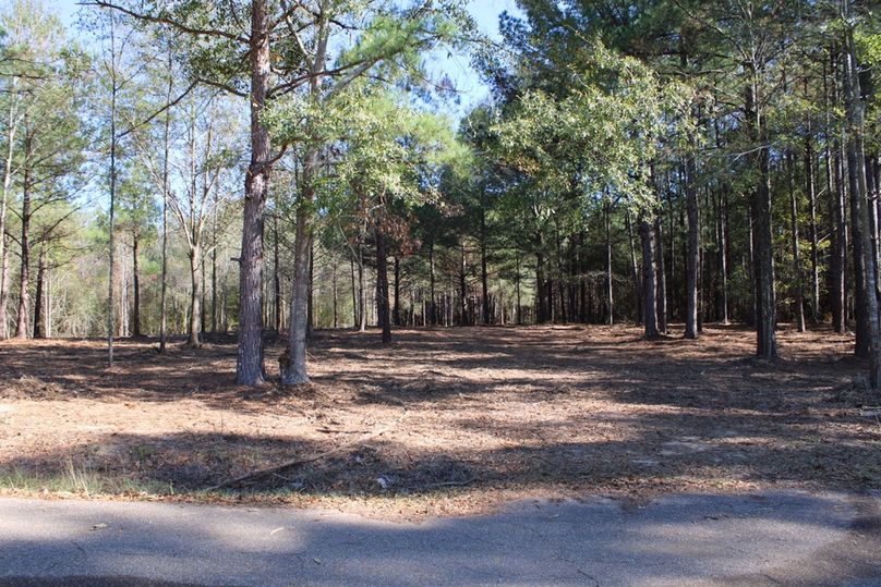 9C74BFC9-88AF-43DD-B7DB-F038FCA00B0D_1_105_c