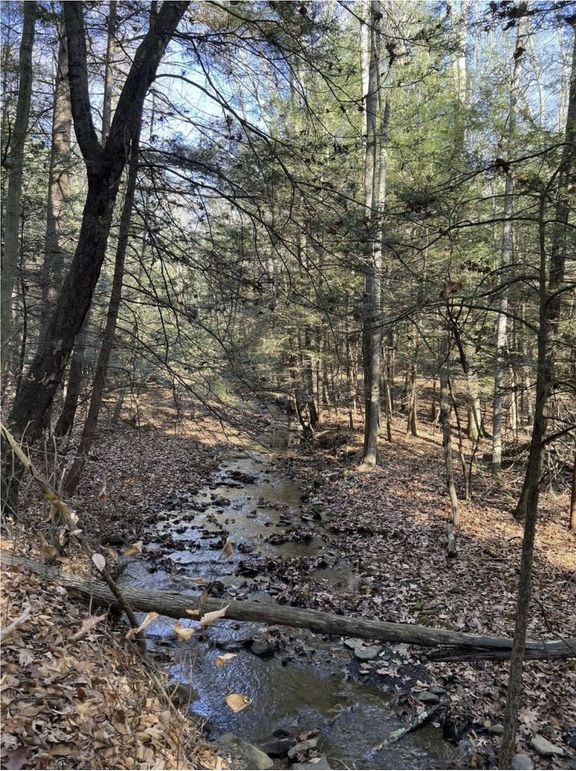 Screenshot 2026-02-25 213322