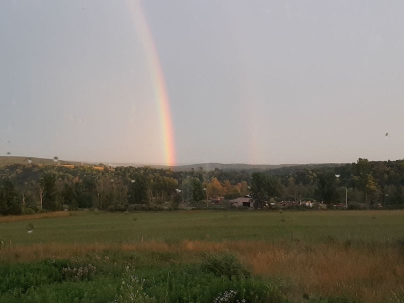 Chemung_184.12_Sterling 50