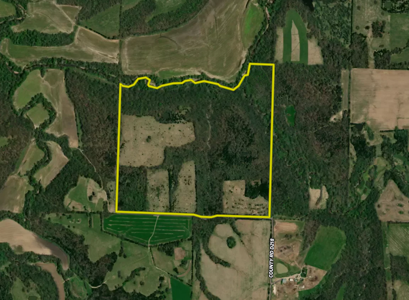 Screen Shot 2024-06-04 at 4.41.21 PM