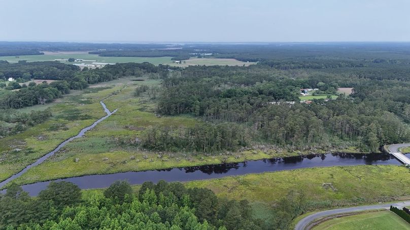 IMG2_58AC_dji_fly_20250613_102428_0005_1749852325425_photo