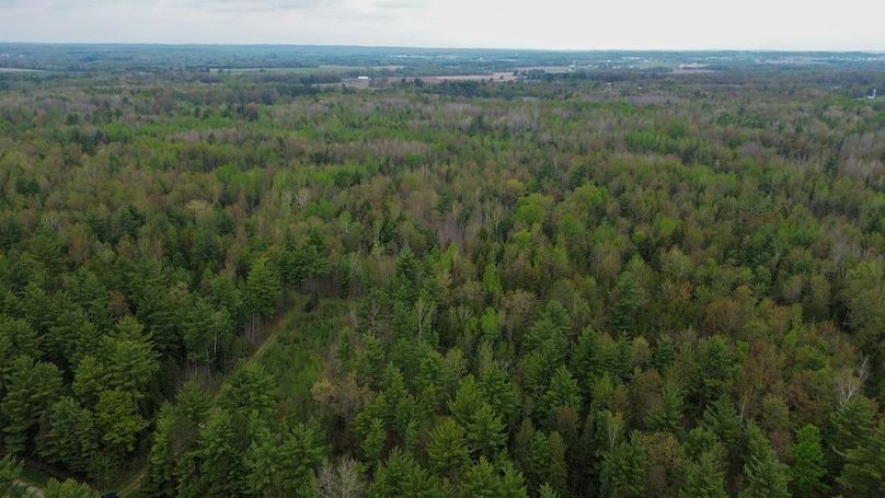 DJI_0017