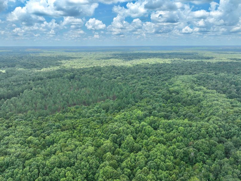 dji_fly_20230731_133156_458_1690845654182_photo