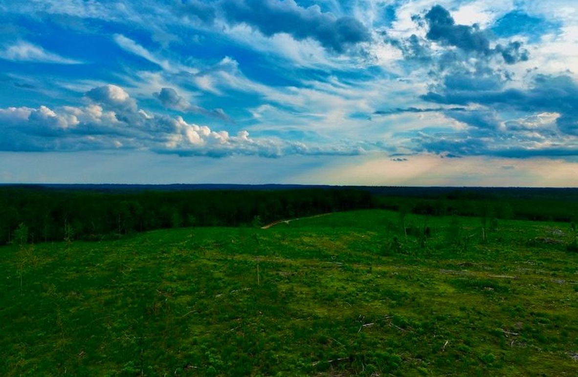 3F61F15D-2CC3-4EB6-917F-2A19F2CB71B8_1_105_c