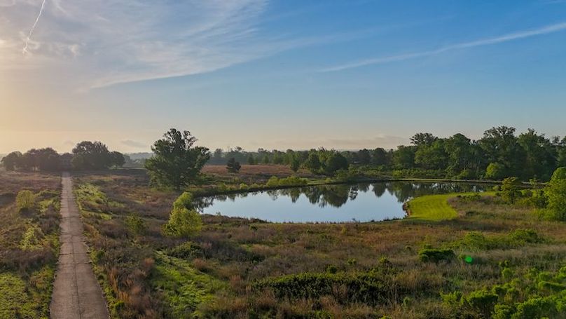 Madison 86.2 Gilmer -13