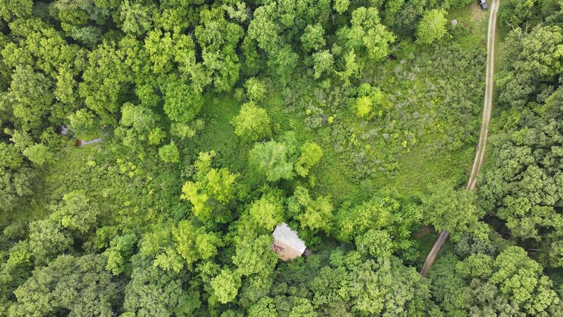 dji_fly_20240711_133734_0233_1720719602618_photo