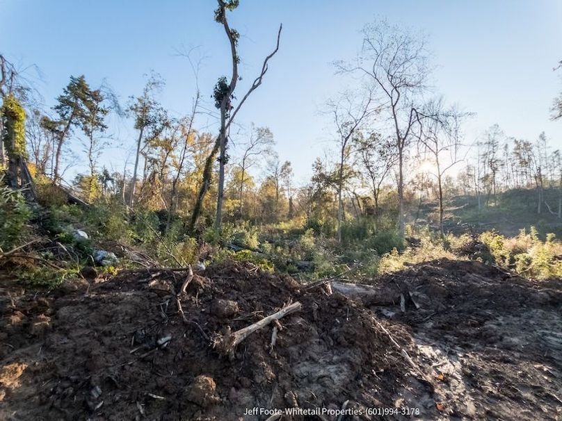 Claiborne Co-151-Geronimo-24