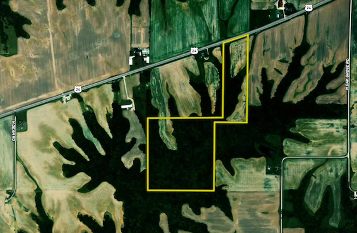 Screenshot 2024-02-01 at 1.29.50 PM