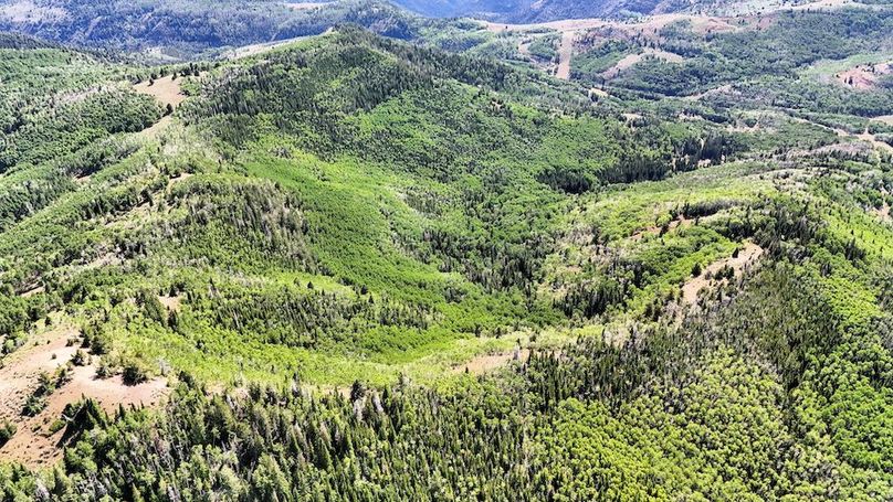 DJI_20250726165100_0054_D