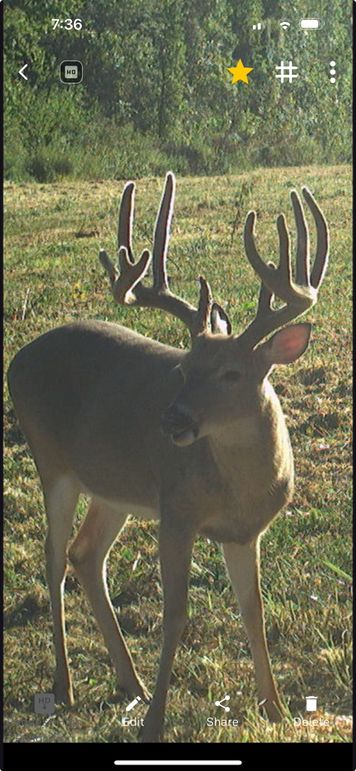 Screenshot 2025-08-26 at 7.36.10 PM